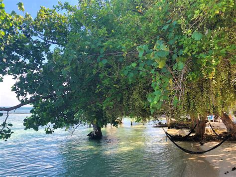 Tiny Hauz Mini Resort Reviews, Rates, Photos, and Map (Updated 2024.